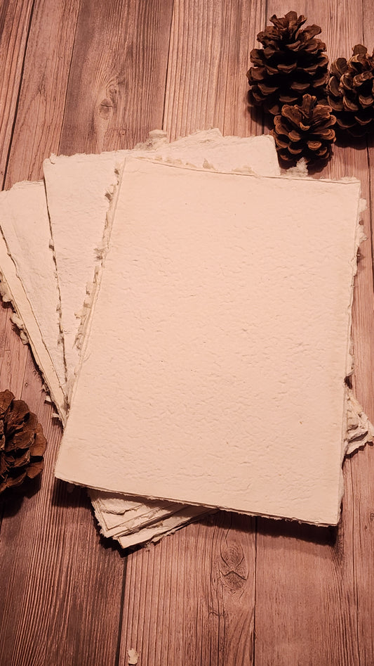 Handmade Recycled Paper (10pk)