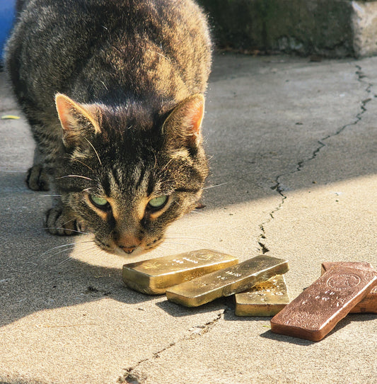 Brass Ingot Bar